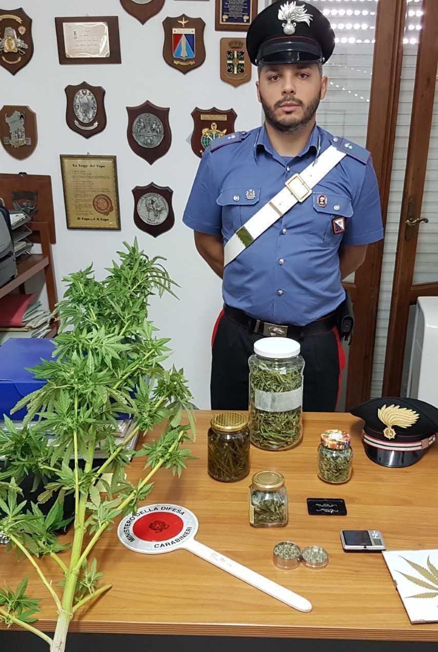 Operaio denunciato per spaccio di droga