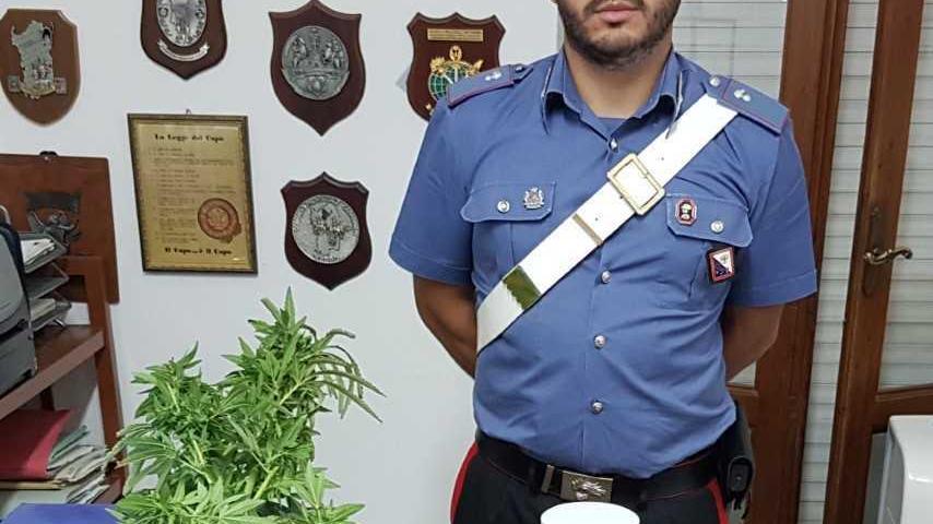 Operaio denunciato per spaccio di droga