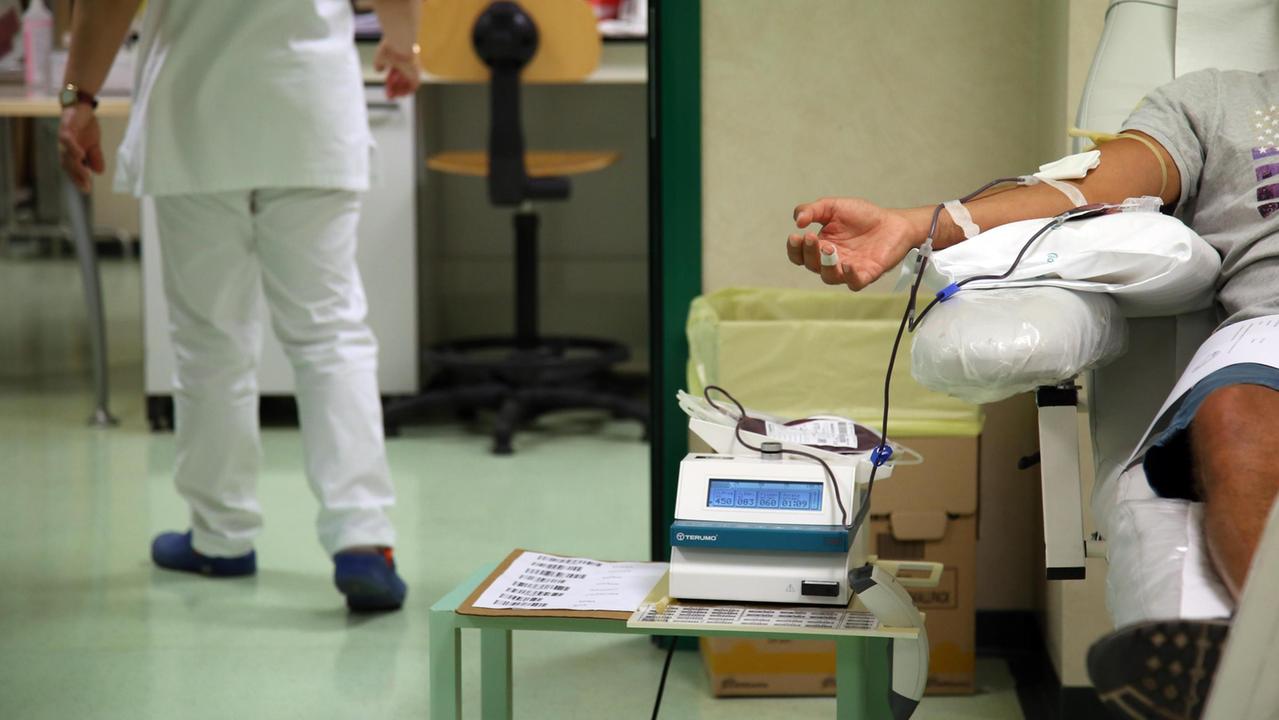 Il prelievo su un donatore di sangue (foto d'archivio)