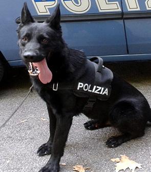 Modena. Blitz al Parco Pertini: intorno all’area giochi 350 grammi di droga 