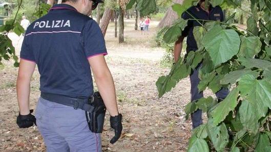 Controlli antispaccio in Pineta di Ponente