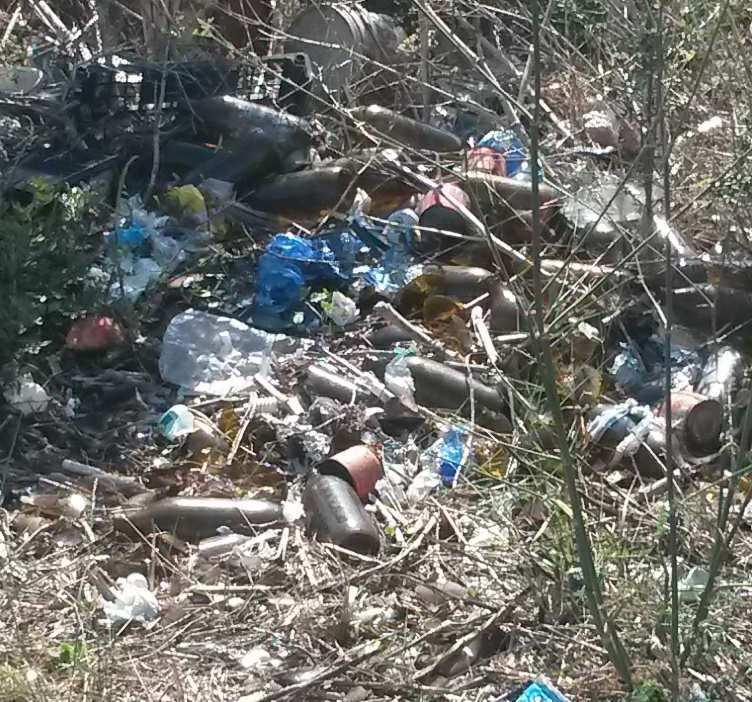 Discarica sotto il ponte Colombo 