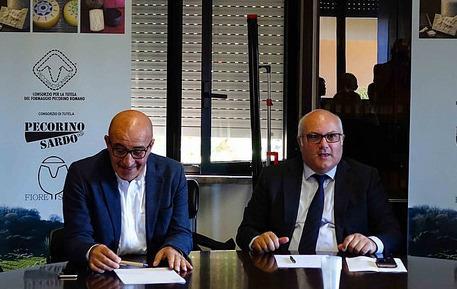 Agroalimentare sardo, tre formaggi Dop partono all’assalto di nuovi mercati 
