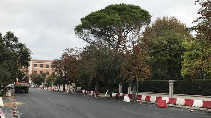 Asfalto nuovo in via Traini oggi si tracciano gli stalli blu