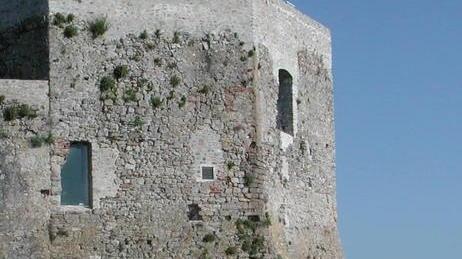 Un’opera d’arte gigantesca per la Versilia