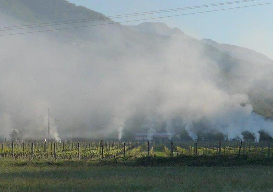 Al pinot nero «made in Lunigiana» un premio nazionale 