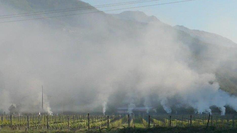 Al pinot nero «made in Lunigiana» un premio nazionale