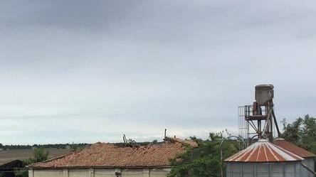 «È un allevamento di maiali più piccolo»