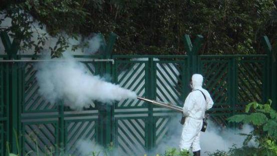 Allarme chikungunya: via alla disinfestazione
