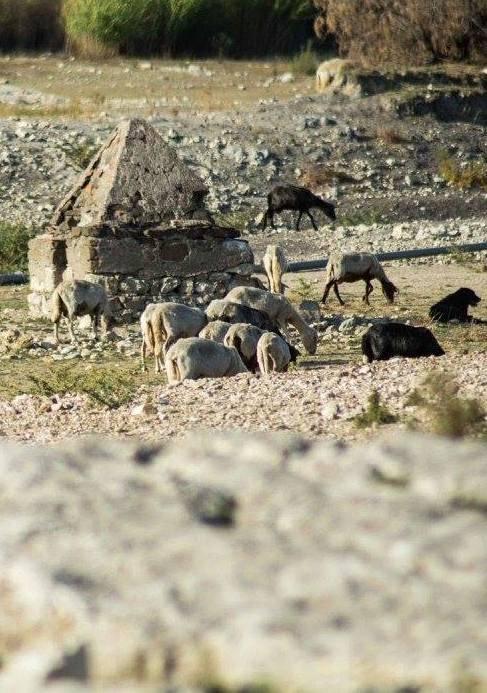 Piana di Chilivani, stagione irrigua da dimenticare 