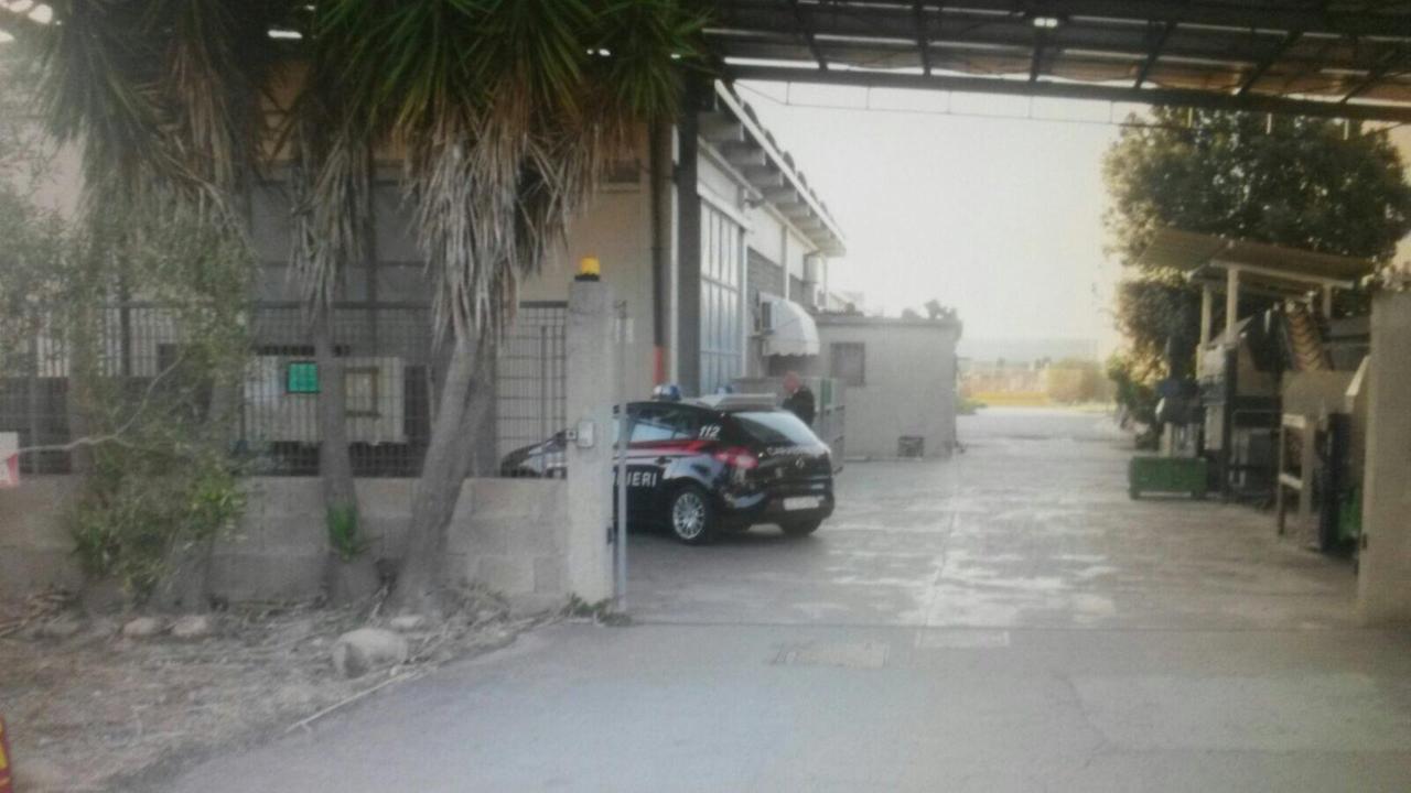 Villacidro, con un furgone rubano 700 litri di olio da un frantoio