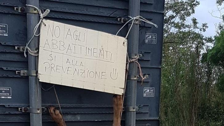 Il cartello fatto ritrovare sopra il lupo scuoiato a Suvereto nell'aprile scorso