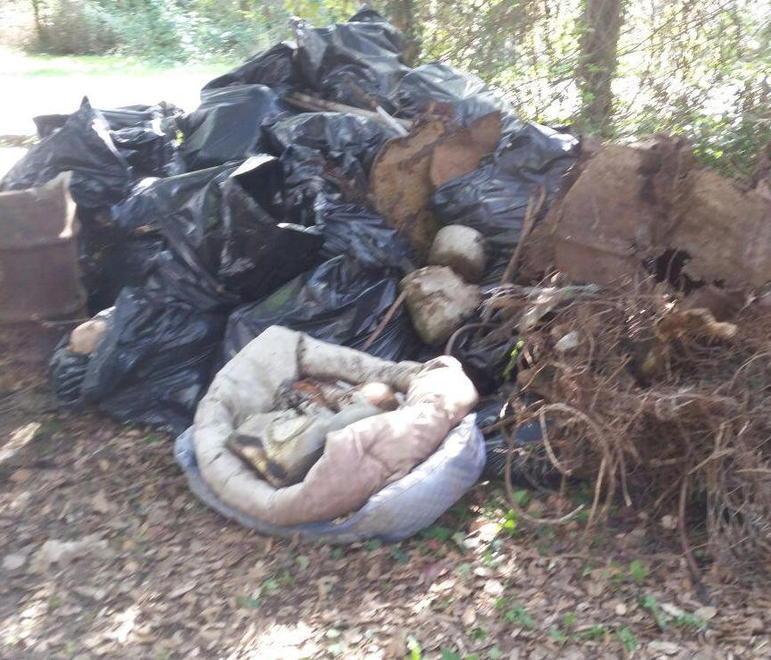 In pineta buste abbandonate con flaconi di noto parrucchiere 