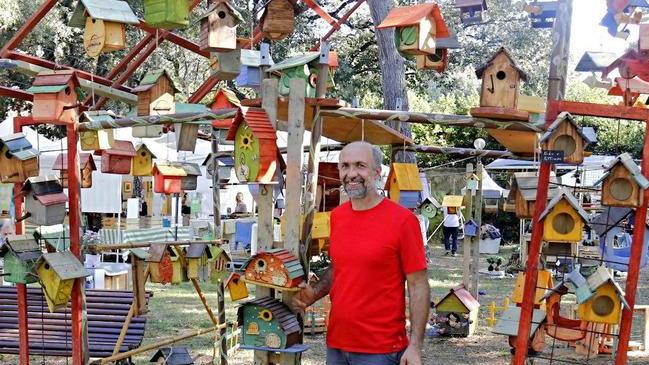 Casette per gli uccellini tra piante, fiori e magia È il mondo di Harborea