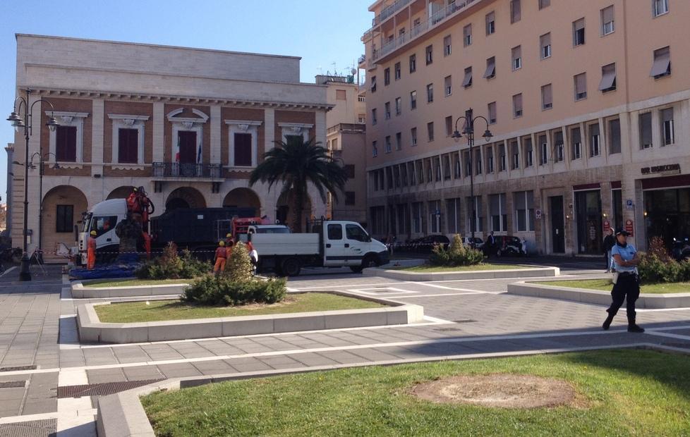 360 palme abbattute per il punteruolo rosso negli ultimi 4 anni 
