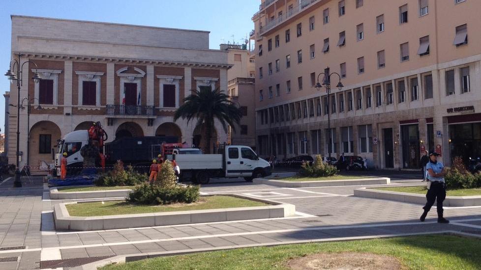 360 palme abbattute per il punteruolo rosso negli ultimi 4 anni