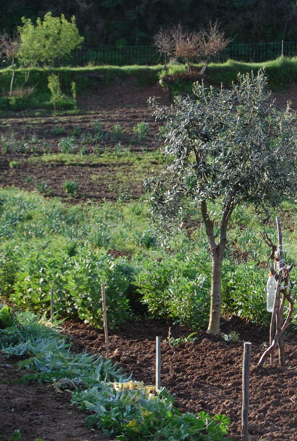 Il “Ritorno alla Terra” è nell’area della Merenderia 