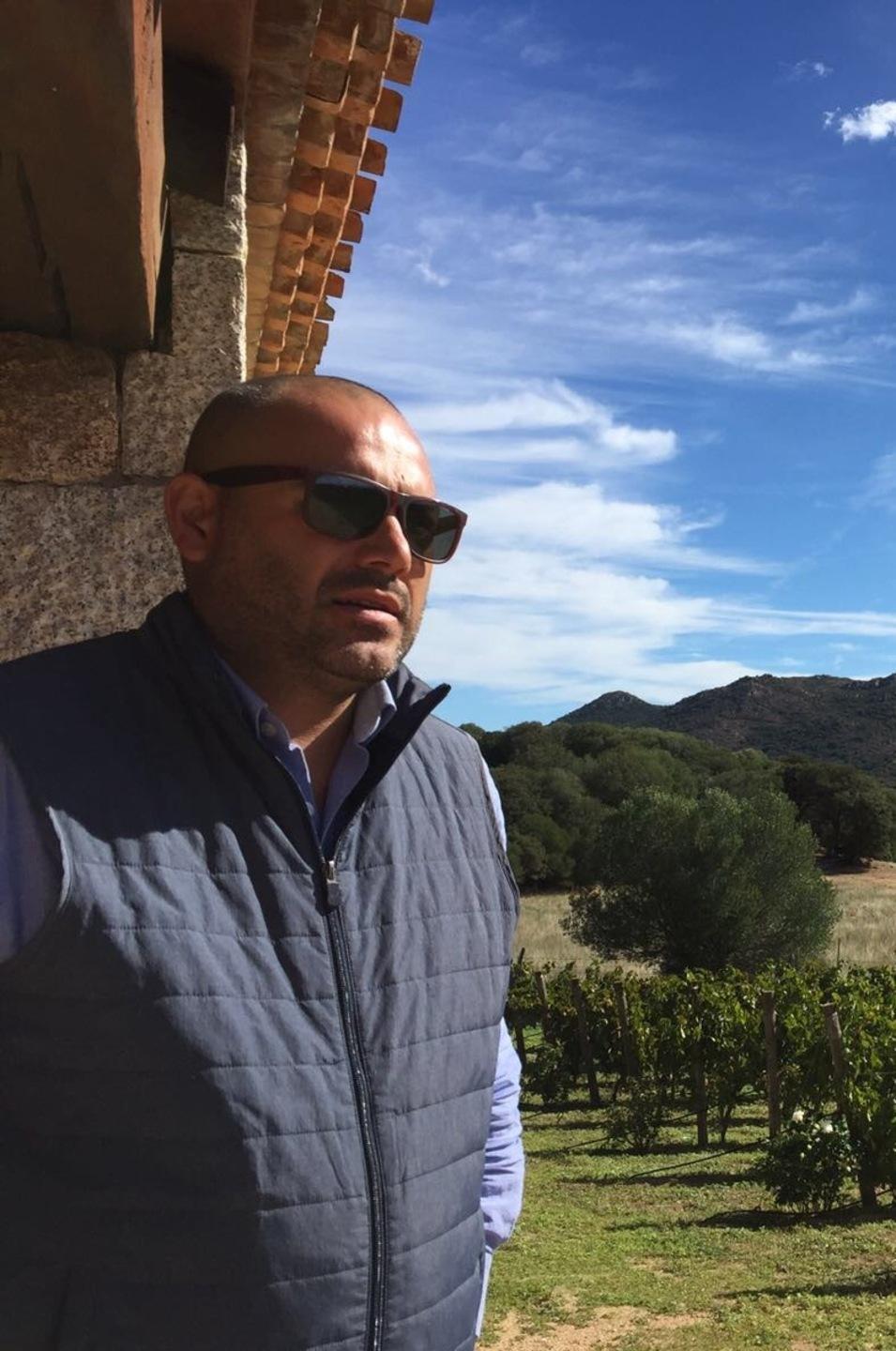 Vermentini e vigne Un inno alla bellezza 