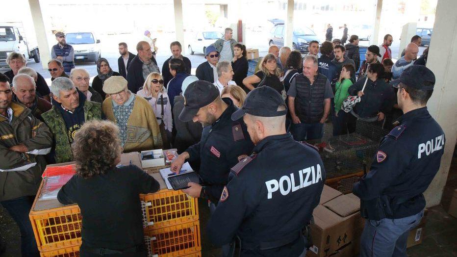 Reggio Emilia: animalisti presi a pugni dagli abusivi alle Fiere