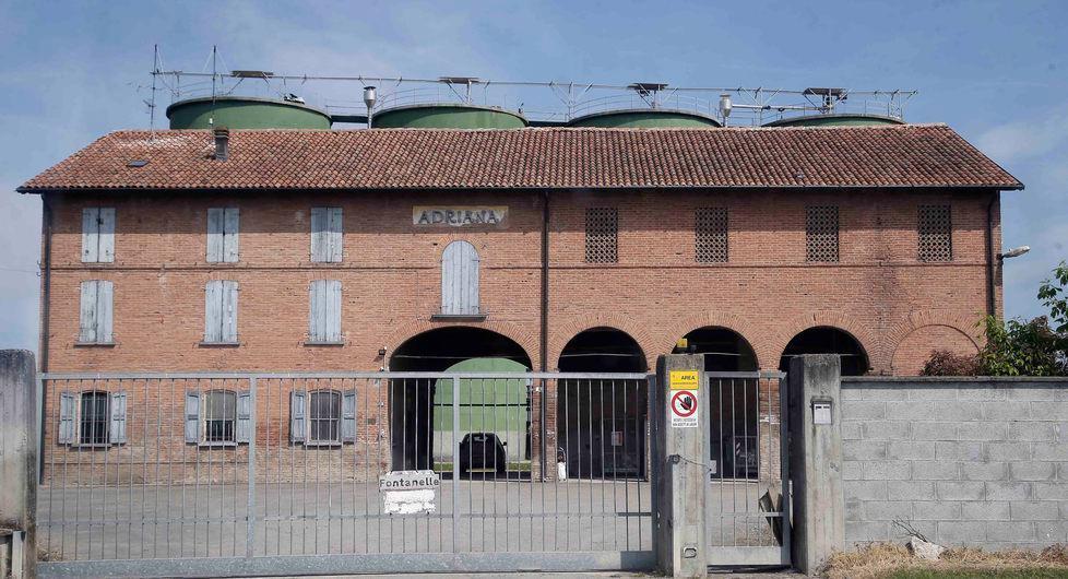 Lettera-esposto a Orlando su ventimila suini “spariti” 