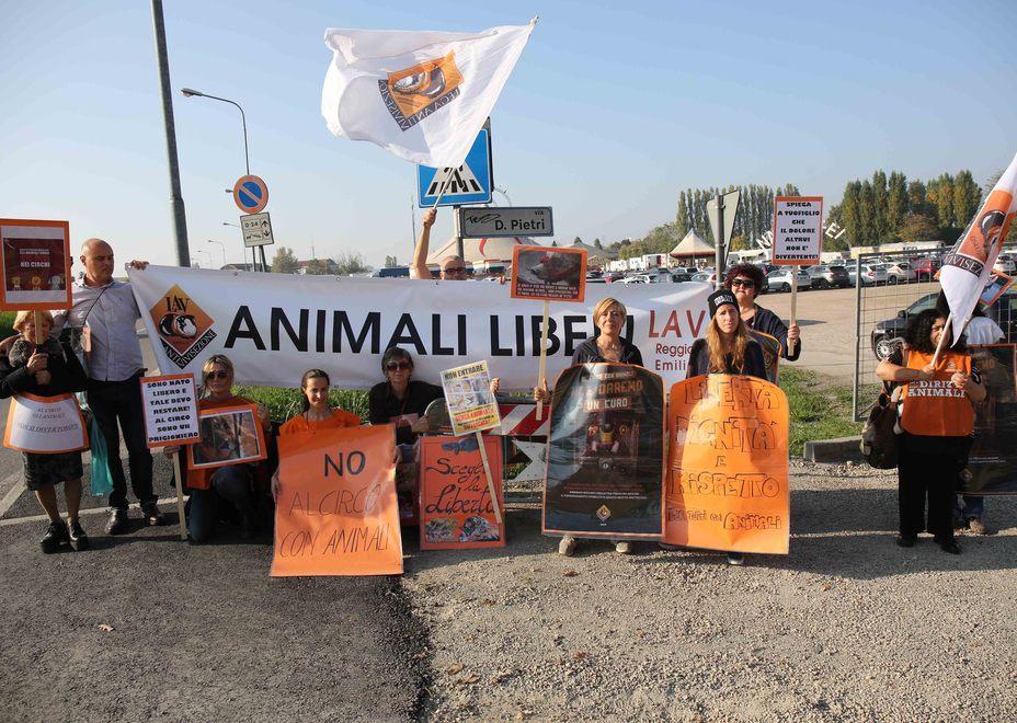 Protesta Lav contro il Circo Orfei
