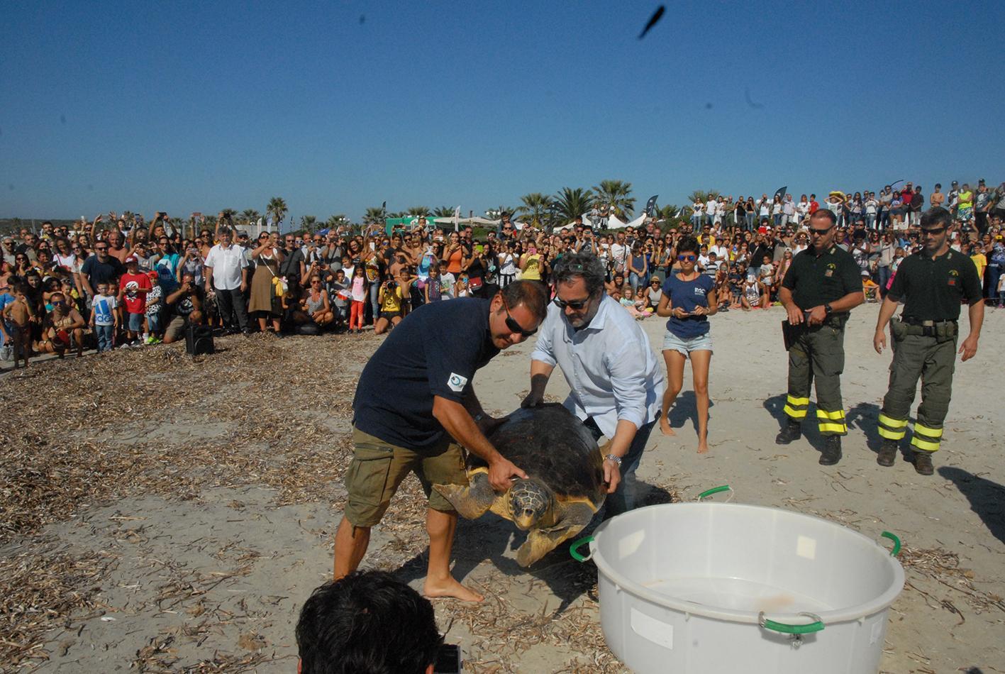 S. Vero, alla Festa del surf la liberazione di una tartaruga