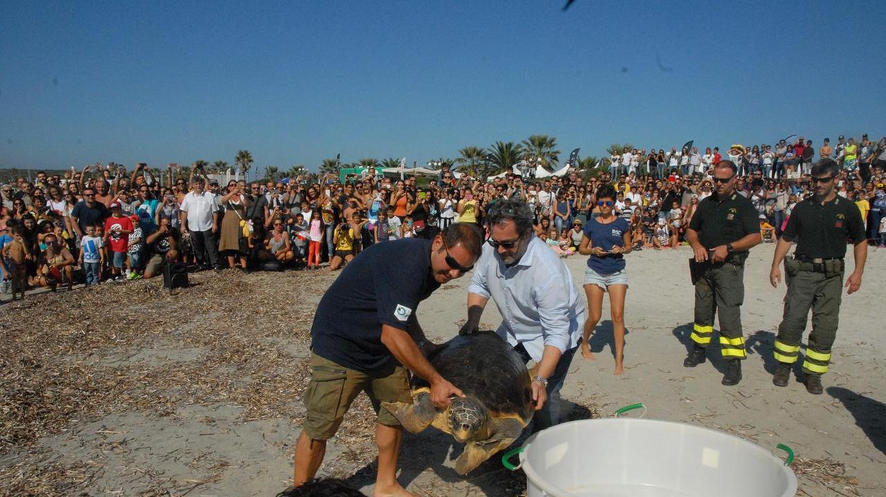 S. Vero, alla Festa del surf la liberazione di una tartaruga