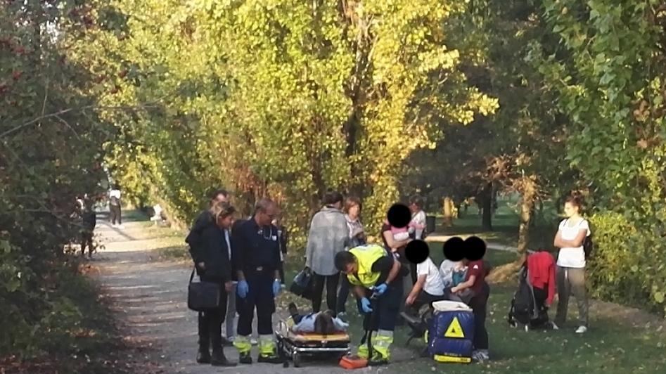 Sassuolo, si aggrappa a un ramo e cade: bimbo ferito
