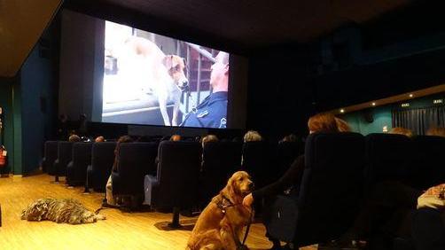 In sala col cane,iniziativa Museo Cinema