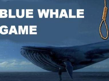 Dodicenne aspirante suicida La polizia esclude Blue Whale