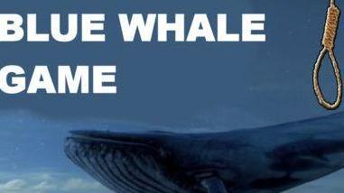 Dodicenne aspirante suicida La polizia esclude Blue Whale