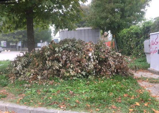«Quanto degrado al parco Pertini» 
