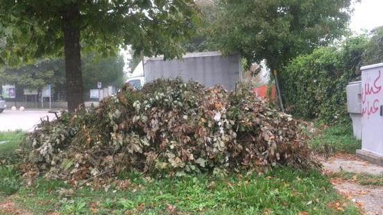 «Quanto degrado al parco Pertini»