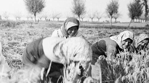 Scatti di campagna: volti e storie di donne