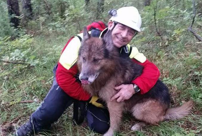 Arrivati i rinforzi a quattro zampe 