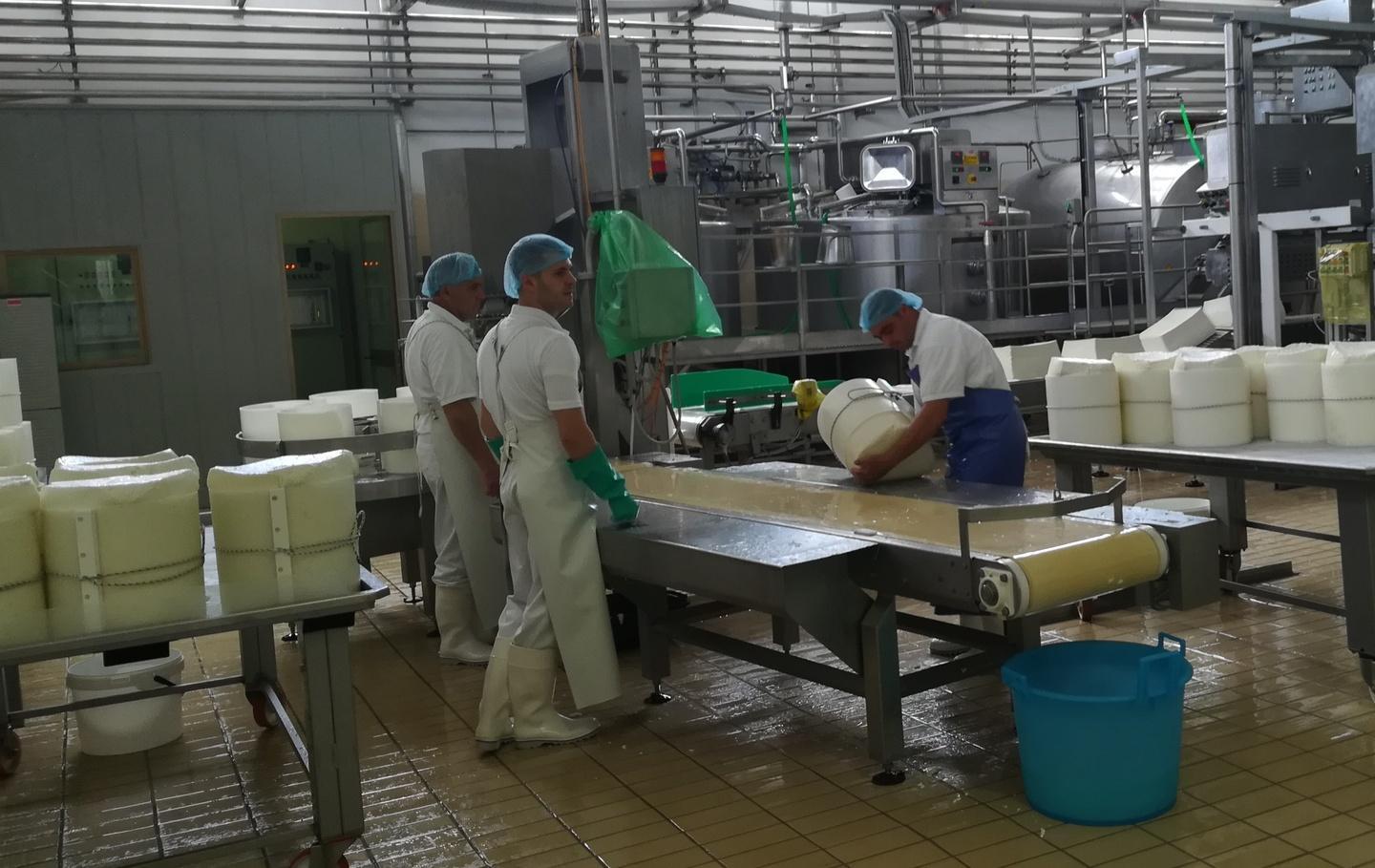 Latte e formaggi in crisi la chiave è programmare 