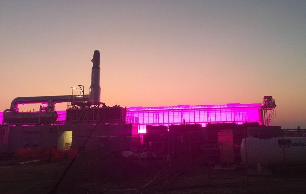 Con le nuove serre il cielo è viola sopra Ostellato 