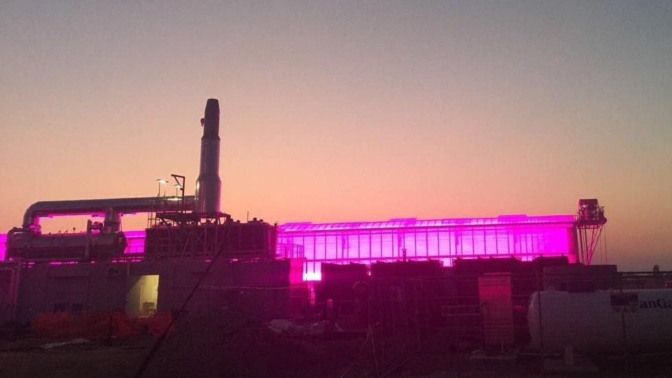 Con le nuove serre il cielo è viola sopra Ostellato