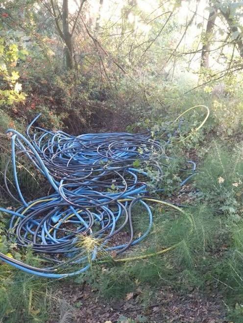 Ladri di rame assaltano la Bugatti 