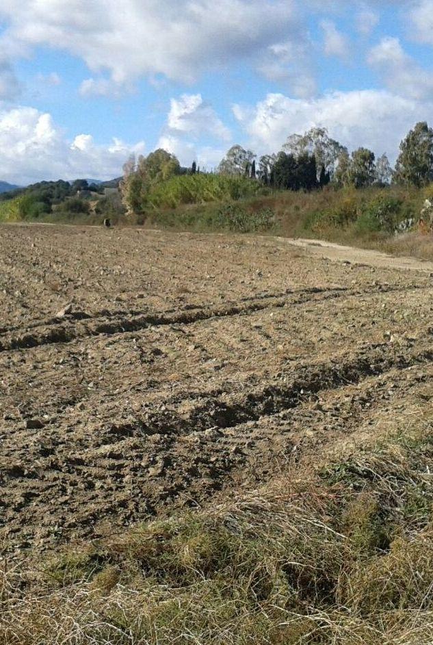 Fi: «Imprese agricole in crisi per i ritardi del Comune»