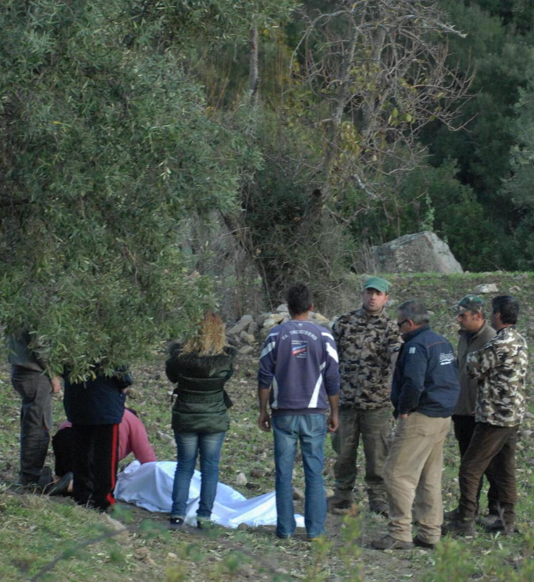Coglieva olive, morì folgorato Assolto il datore di lavoro