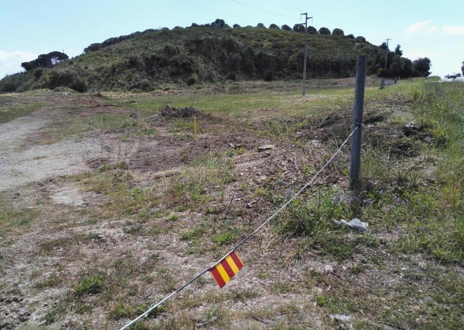 Via libera all’ultimo progetto per Colmata 