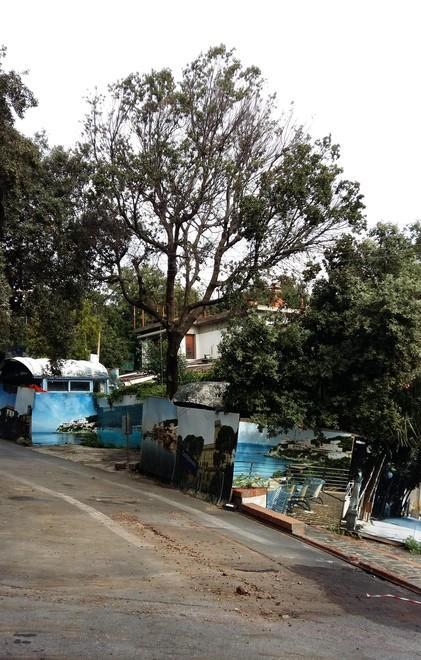Ex Ciucheba, la variante infinita 