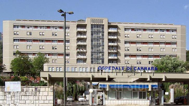 Carrara, il Comitato di salute pubblica attacca la direttrice De Lauretis
