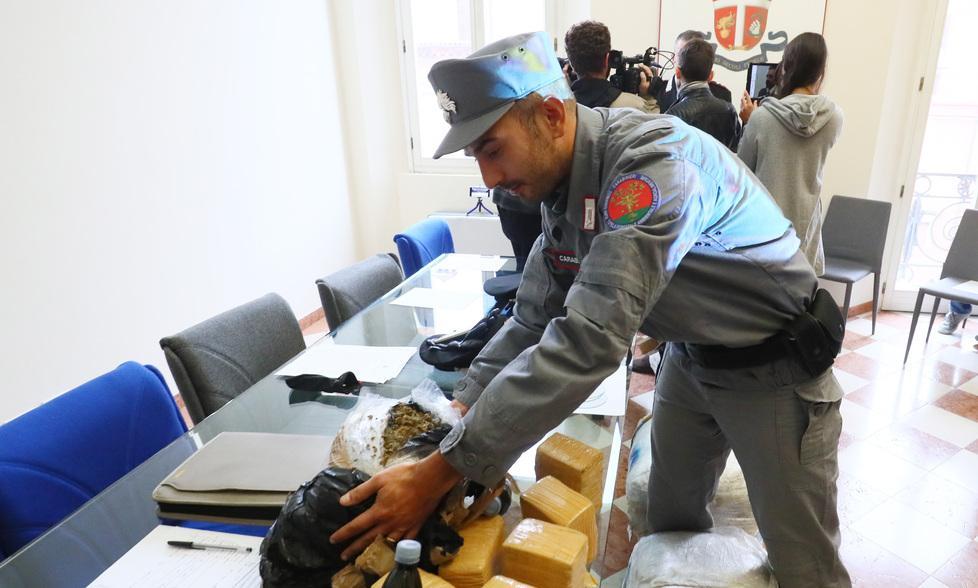 Determinanti i Carabinieri Forestali 