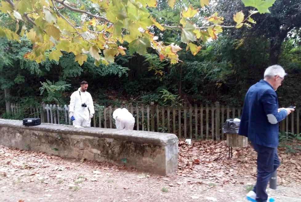Chi ha aggredito la ragazza nel parco voleva ucciderla 