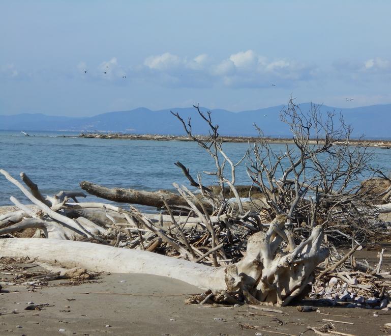 Per scoprire la bellezza c’è QuiMaremma Toscana 
