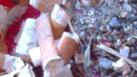 Vivere Soliera regala mozziconi al sindaco
