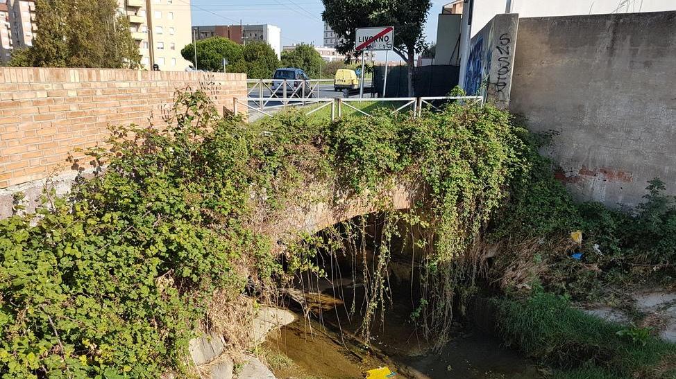Ora il rio Cigna è una lunga distesa di spazzatura