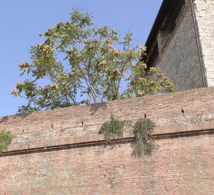 «Rianimiamo questa città di morti viventi sveglia solo il giovedì» 